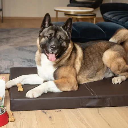 Hotel Boehlerstern 4*