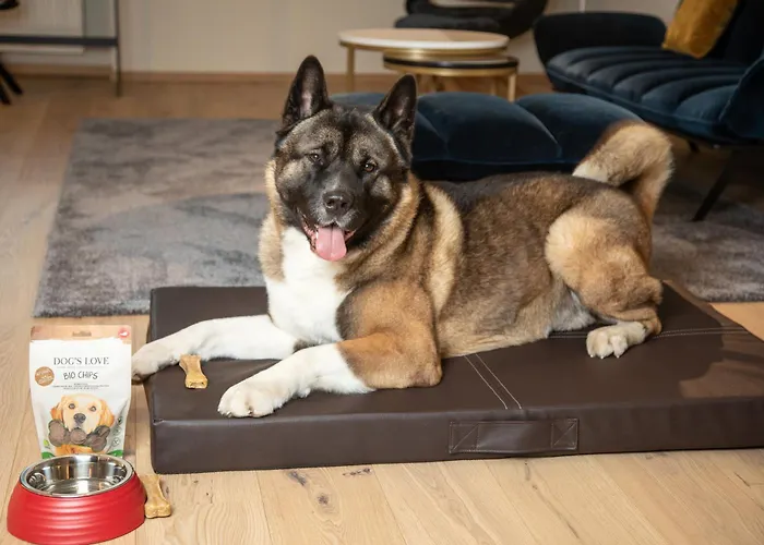 Hotel Boehlerstern 4*