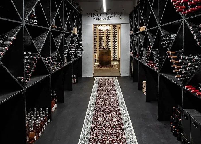 Hotel Boehlerstern 4*